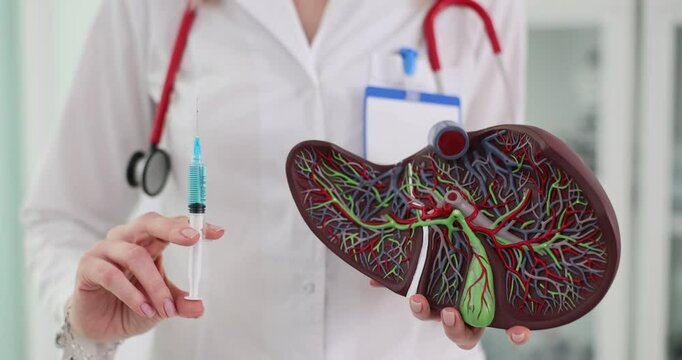 Model of liver with injection of drugs in the hands of a doctor