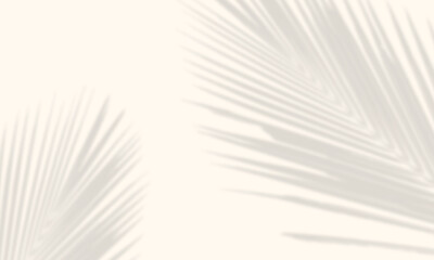 abstract palm leaf shadow overlay for banner poster design isolated 