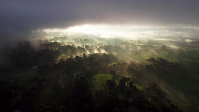 Aerial view of beautiful misty forest at sunrise, Tigoni, Limuru, Kenya.