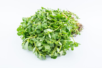 A handful of fresh organic vegetable purslane