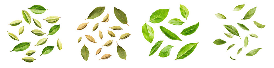 Naklejka premium falling cardamom leaves on white background, transparent background