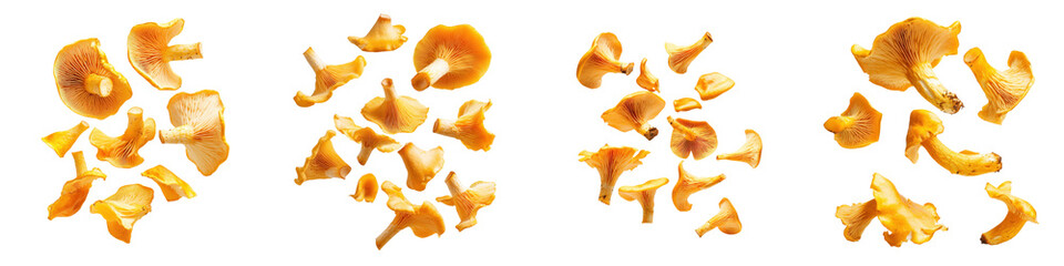 Naklejka premium falling golden chanterelle mushrooms on white background, transparent background