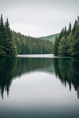 Obraz premium A serene lake nestled among tall pine trees reflecting the tranquil beauty of nature on a cloudy day