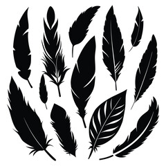 Obraz premium Elegant Feather Silhouettes Vector Set.