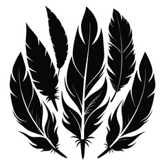 Elegant Feather Silhouettes Vector Set.