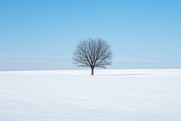 Fototapeta premium A lone tree in a vast, open field of pure white snow 
