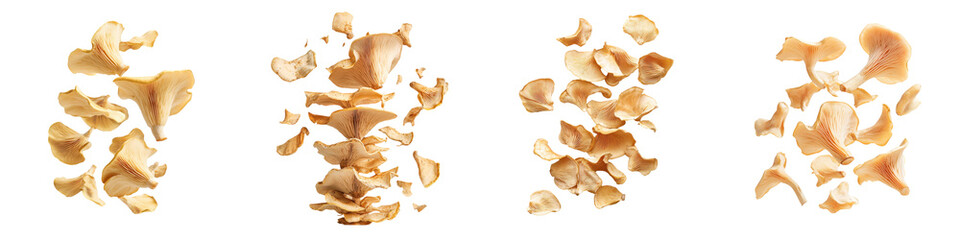 Naklejka premium falling golden oyster mushrooms on white background,transparent background