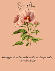 Invitation and best wishes cards