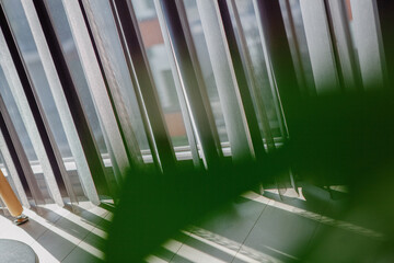 Obraz premium Soft sunlight filters through curtains illuminating a corner with greenery in an urban setting