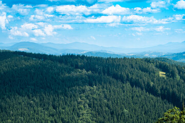 Lush green forests and rolling hills under a bright blue sky at midday in a serene mountain landscape