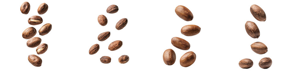 falling ripe shea nuts on white background, full depth of field,transparent background