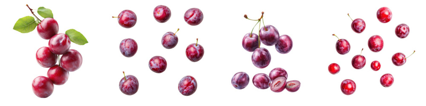 falling ripe governor's plums on white background, full depth of field,transparent background