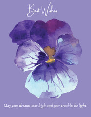invitation and best wishes cards