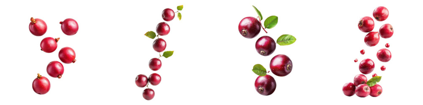 falling ripe kokum fruits on white background, full depth of field,transparent background