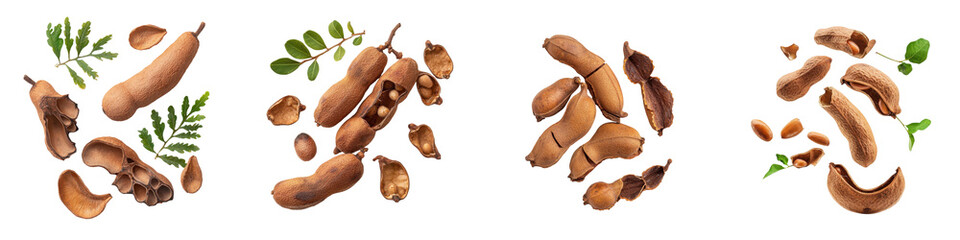 falling ripe tamarind pods on white background, full depth of field,transparent background