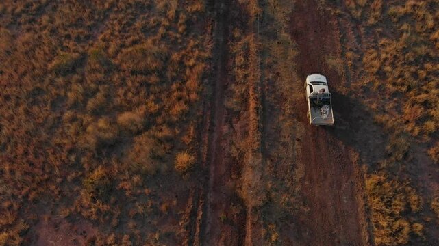 Aerial view of a ute driving on a dirt road through the dry outback landscape at sunset, Emerald, Queensland, Australia.