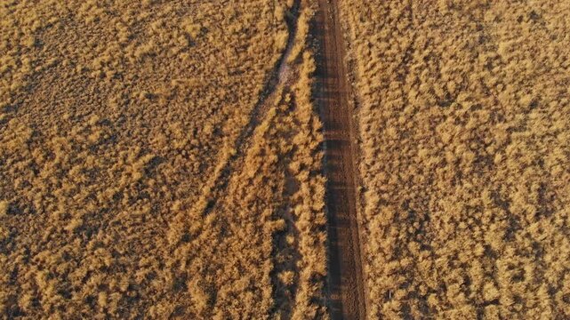 Aerial view of a dirt road winding through dry bush in the vast outback, Emerald, Queensland, Australia.