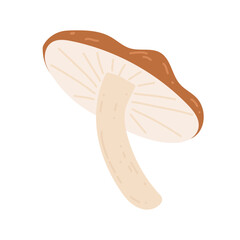 Hand drawn mushroom. Autumn vibes, forest, food. Vector simple flat design isolated on white background