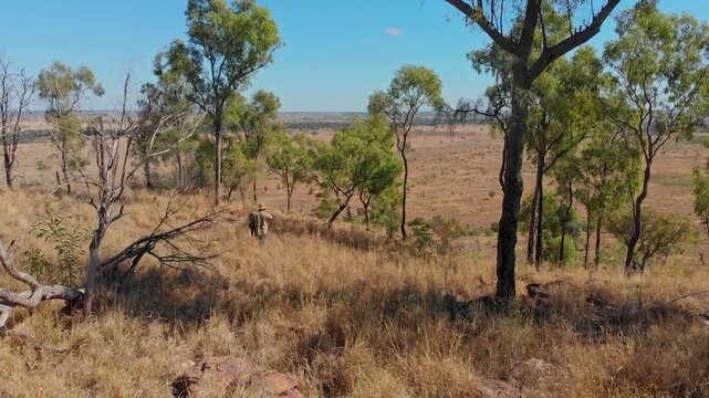 Aerial view of dry outback landscape with man farming among trees and grassland, Mackenzie River, Queensland, Australia.
