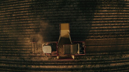 Top view of Agricultural work on harvesting seasonal crops, potatoes. A combine harvester drives...