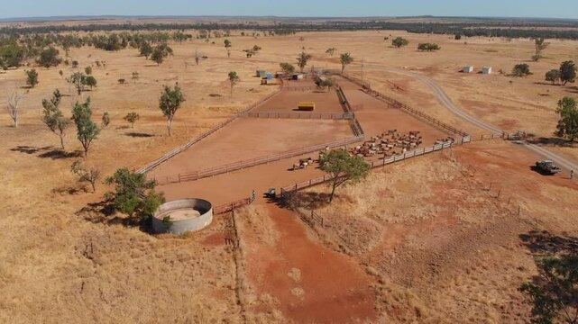 Aerial view of cattle mustering in the dry outback with yards and fences, Emerald, Queensland, Australia.
