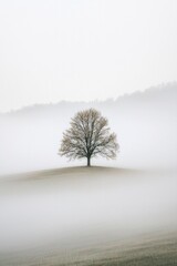 Fototapeta premium A solitary tree in a vast, foggy field, with the rest of the landscape fading into a soft, white void. 