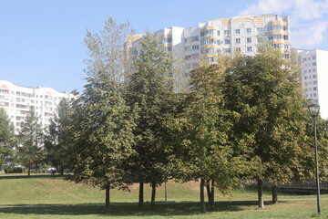 Landscape park in South Butovo in Moscow, September 2024, 2