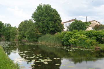 Rivière La Vonne, Sanxay, Vienne, 86, Region Nouvelle Aquitaine, France
