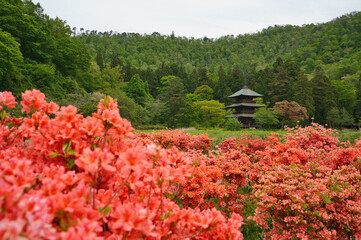 日本情緒的風景