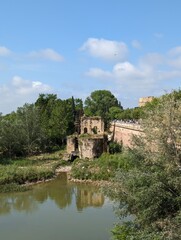 Fototapeta premium Mulino
