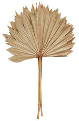 dried palm leaves Sun Dried Natural Palm Bunch