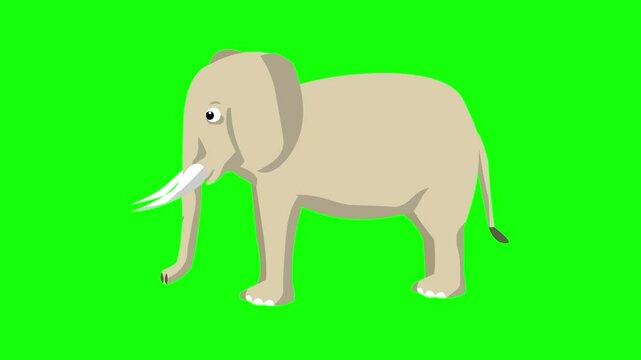 Animated video of an elephant on a green background, art.