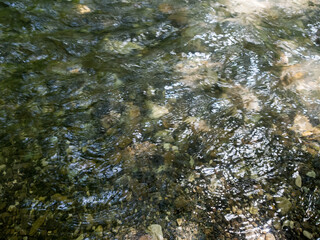 The river, with its rapid flow and majestic cliffs, creates a breathtaking landscape, reflecting the strength and beauty of the wild nature