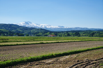 鳥海山の田園風景
