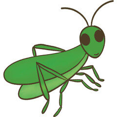grasshopper