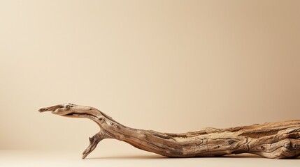 Obraz premium Dry wooden snag on beige background with product in foreground. Ample space for text.