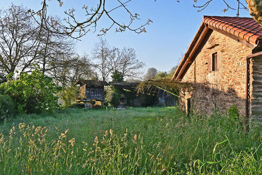 Paesaggi di Galizia, villaggi e antiche chiese sul cammino Primitivo di Santiago di Compostela fra Arzua e Santiago - Galizia, Spagna