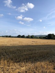 A field of winter wheat stubble after harvest in August, North Yorkshire, UK