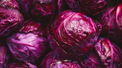 Obraz premium A pile of deep purple cabbages, highlighting their rich color and unique, textured leaves.