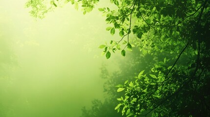Obraz premium Clean green background fading into a lighter green gradient, ideal for eco-friendly or nature-themed designs.