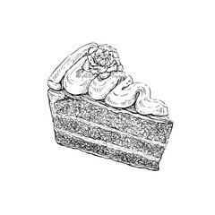 Illustration hand drawn Sliced Cake ink style on white background.