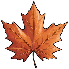 Obraz premium 단풍잎