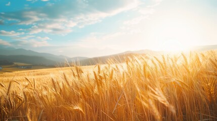 Obraz premium A sun-drenched wheat field with mountain views in the background, exuding warmth, tranquility, and the essence of a plentiful harvest.