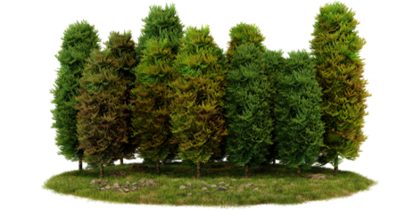 Green model trees on a green grass base, isolated on transparent background