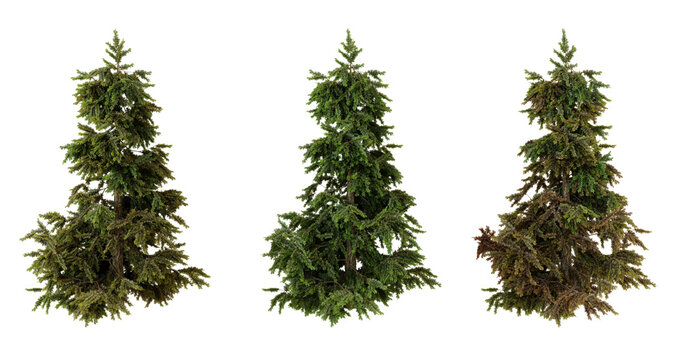 3D Model Pine Trees Set, Low Poly Forest Assets for Game Design