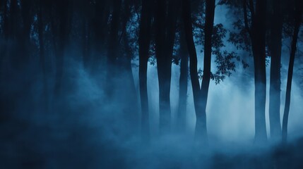Mysterious Foggy Forest at Night