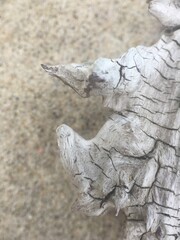 Driftwood on the sand of the Baltic Sea coast
