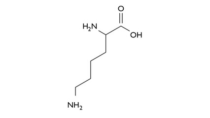l-lysine molecule, structural chemical formula, ball-and-stick model, isolated image a-amino acid