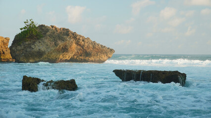 coral reef in the sea