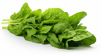 Fototapeta premium Fresh green spinach leaves arranged neatly on a white surface for healthy meal preparation
